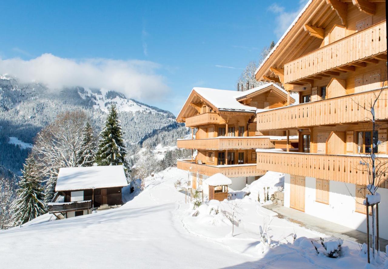 Panoramapark Soleil Chalet B Βένγκεν Εξωτερικό φωτογραφία