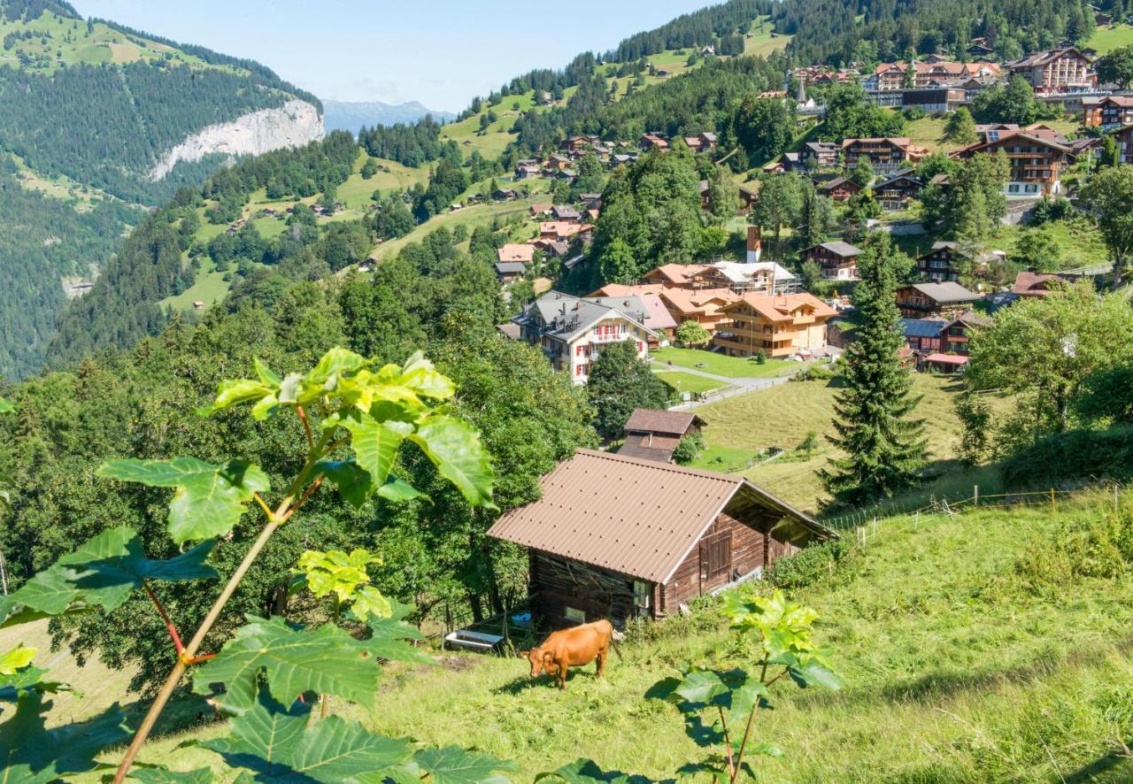 Panoramapark Soleil Chalet B Βένγκεν Εξωτερικό φωτογραφία